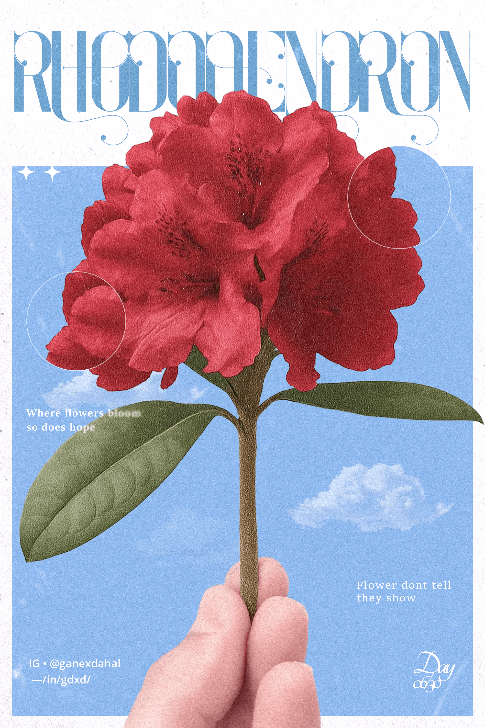 Promotional poster design 1 from original collection